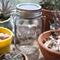 Mason Jar Separate Vidrio Bottl