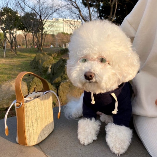 Suéter Elegante y Cómodo para Perros