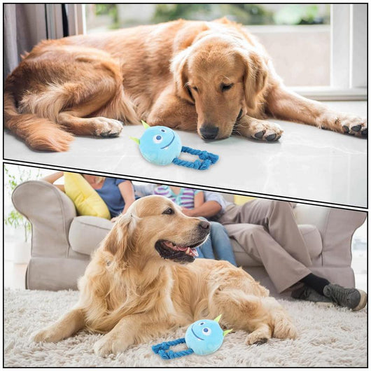 Juguetes Chirriantes para Perros con Diseño de Nudo Fuerte - Juguetes de Dentición Masticables - Image 6