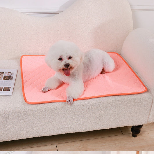 Pañal Lavable para Perros con Almohadilla Absorbente Antideslizante - Image 15