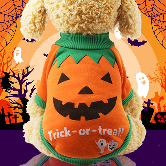 Ropa de Mascota Temática Halloween - Gato Negro, Araña y Calabaza - Image 20