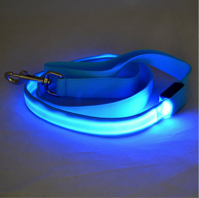 Correa LED Luminosa para Perros - Paseos Seguros de Noche - Image 5