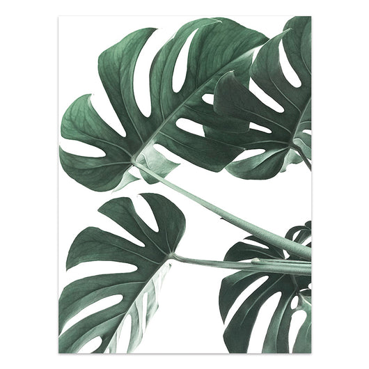 Póster de Plantas Tropicales Estilo Nórdico - Lámina de Hojas Verdes - Image 16