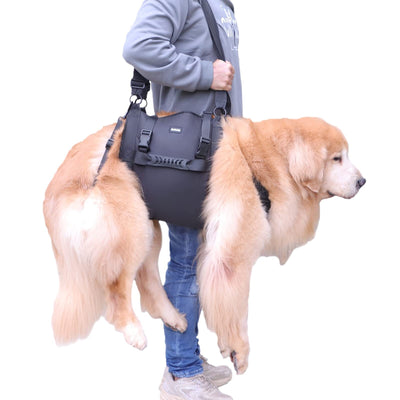 Arnés de Soporte para Patas de Perro - Rehabilitación y Movilidad - Image 5