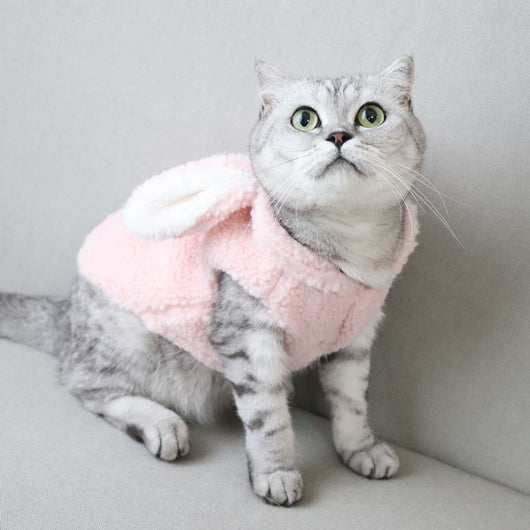 Disfraz de Conejito con Chaleco y Orejas para Otoño e Invierno - Image 8