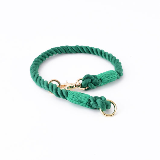 Collar Tipo P Ajustable para Perros Pequeños y Medianos - Image 4