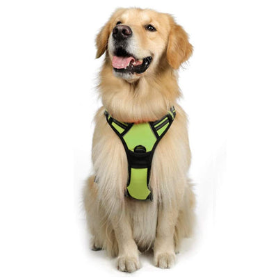 Chaleco Arnés para Perros Grandes con Correa Integrada - Image 15