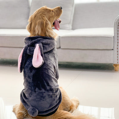 Disfraz de Tigre para Perros Golden Retriever y Mascotas - Image 13
