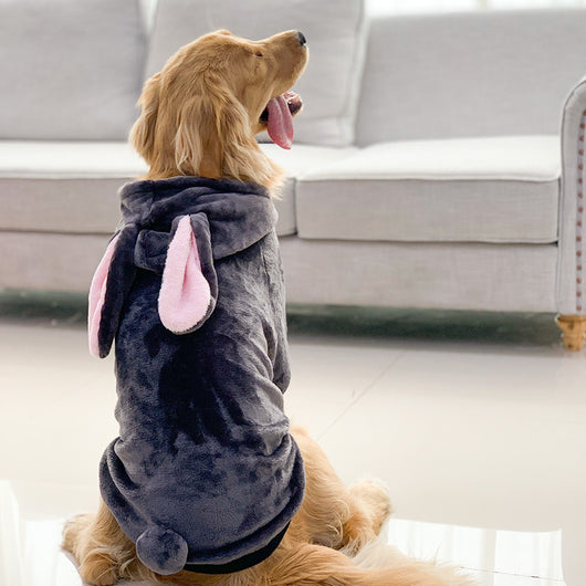 Disfraz de Tigre para Perros Golden Retriever y Mascotas - Image 13