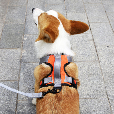 Arnés Chaleco para Perro con Cuerda de Sostén Manual - Image 4