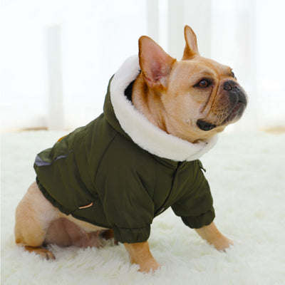 Abrigo Acolchado para Perros - Protección Térmica Invernal - Image 8