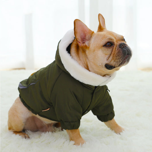 Abrigo Acolchado para Perros - Protección Térmica Invernal - Image 8