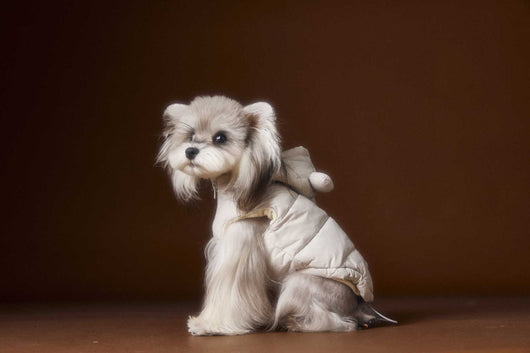 Chaleco Acolchado sin Mangas con Capucha - Diseño Adorable de Schnauzer y Bichón - Image 7