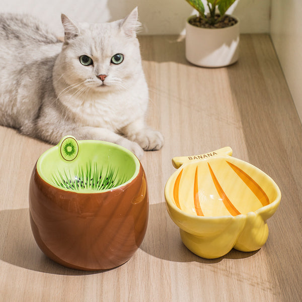 Comedero Elevado para Gatos con Soporte Cervical Ergonómico
