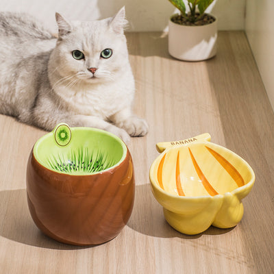 Comedero Elevado para Gatos con Soporte Cervical Ergonómico