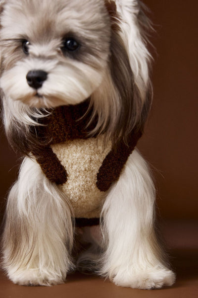 Suéter para Perro Tony Bear con Cuello Solapa - Image 14
