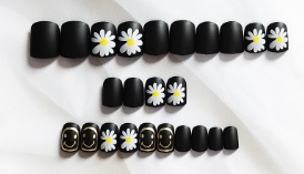Lámina de Uñas Postizas Margaritas Esmeriladas Cortas - Image 12