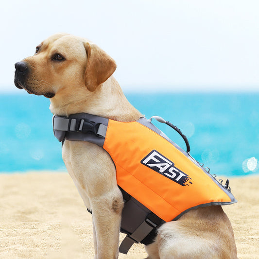 Chaleco Salvavidas para Perros con Diseño Reflectante - Image 2