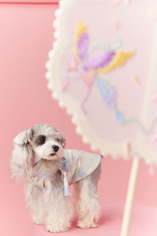 Chaleco Cheongsam Estilo Neo-Chino para Mascotas Pequeños - Schnauzer y Bichón - Image 13