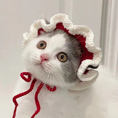 Gorro de Lana Tejido para Perros y Gatos - Accesorios Adorables para Mascotas - Image 14