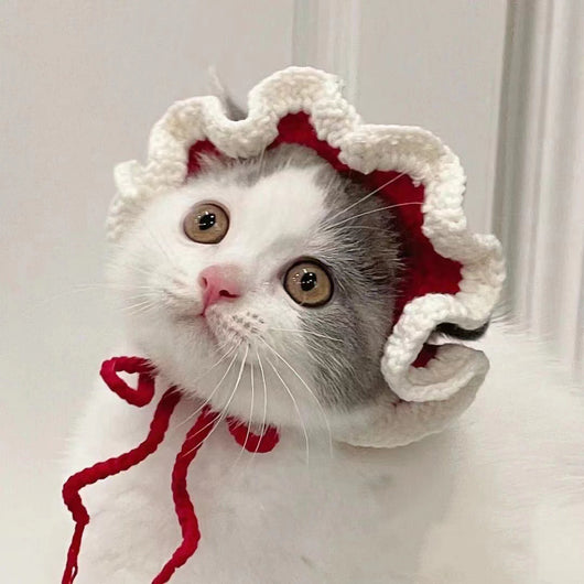 Gorro de Lana Tejido para Perros y Gatos - Accesorios Adorables para Mascotas - Image 14