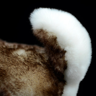 Peluche Husky Marrón Realista - Juguete de Simulación Premium - Image 5