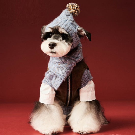 Gorro y Bufanda de Lana para Mascotas - Conjunto Abrigador para Perros - Image 4
