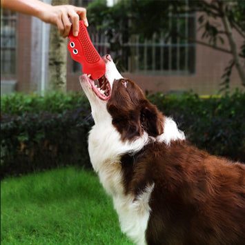 Juguete de Caucho Natural para Perros con Textura de Rugby - Resistente al Morder y Alivio de Dentición - Image 9
