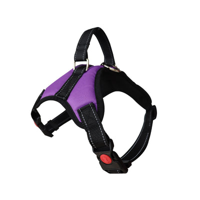 Blue and black pet harness with reflective stitching, a top handle, and red quick-release buckles. - Image 14