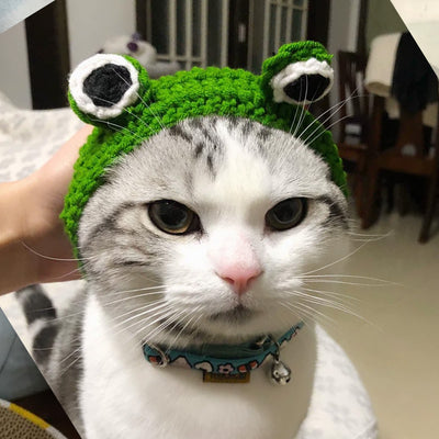 Gorro de Lana Tejido para Mascotas - Diadema Rana - Image 10