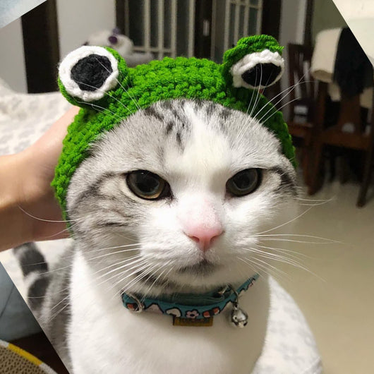 Gorro de Lana Tejido para Mascotas - Diadema Rana - Image 10