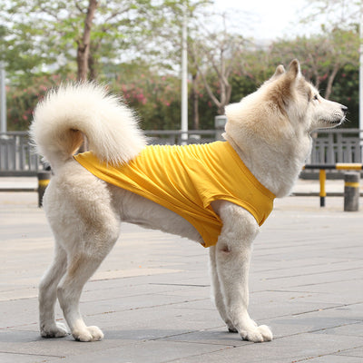 Chaleco y Camiseta para Perro XS-5XL | Ropa Fresca para Perros Pequeños - Image 10