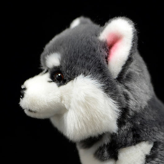 Peluche Perro Husky Siberiano Gris - Muñeco Realista de Simulación - Image 3