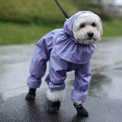 Impermeable para Perros Teddy de Cuatro Patas Completo - Image 4