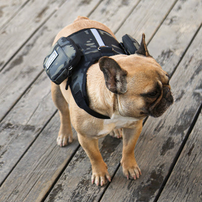 Mochila Portátil Multifunción para Mascotas con Correa - Image 11