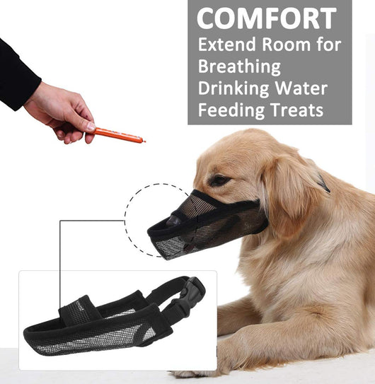 Máscara Protectora para Perros Medianos y Grandes Golden Retriever Husky - Image 11