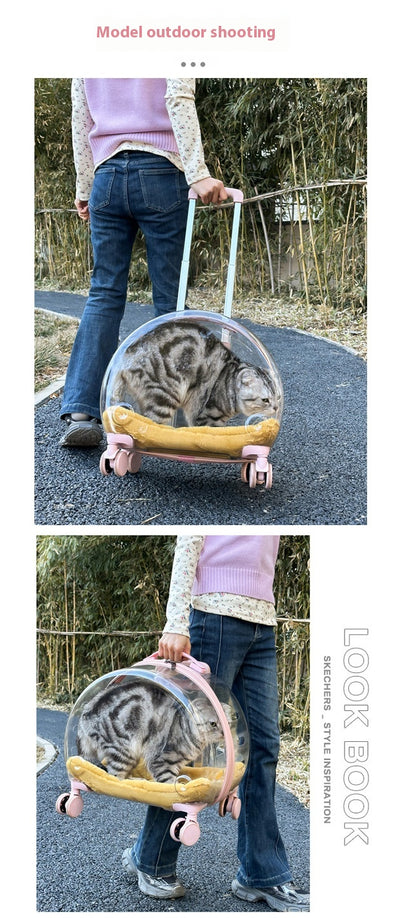Mochila Transportadora Transparente para Gatos y Mascotas Pequeñas - Image 25