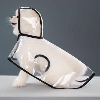 Impermeable Transparente para Perros - Image 6