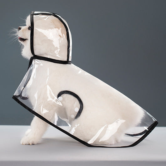 Impermeable Transparente para Perros - Image 6