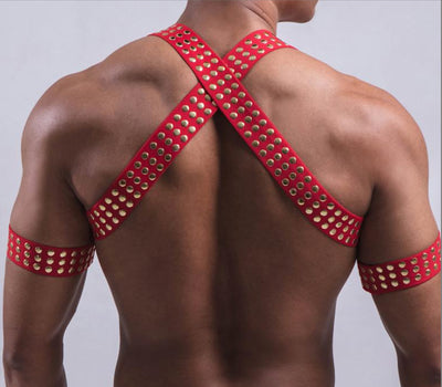 Conjunto de Arnés Pectoral Premium - Image 8