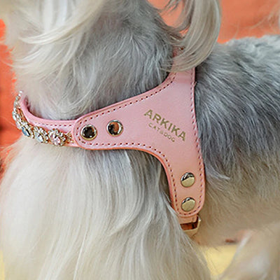 Arnés y Correa para Perro de Cuero PU con Strass Ajustable - Image 21