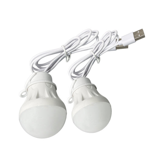Bombilla Globo LED Portátil USB 5V para Exteriores