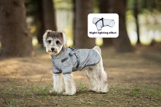 Impermeable para Perros Pequeños y Medianos con Arnés Integrado - Image 23