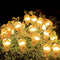 Rábano 1 M 10 Luces