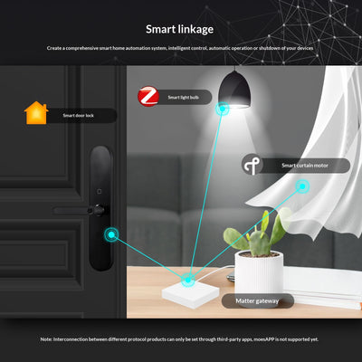 Puerta de Enlace Inteligente Zigbee Matter con Cable para Hogar Conectado - Image 10
