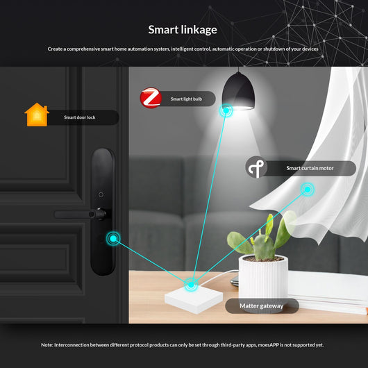 Puerta de Enlace Inteligente Zigbee Matter con Cable para Hogar Conectado - Image 10