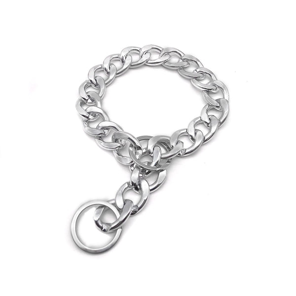 Collar Metálico Elegante y Dominante para Mascotas