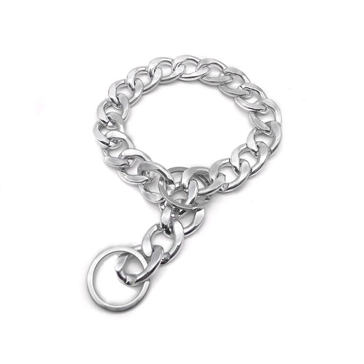 Collar Metálico Elegante y Dominante para Mascotas - Image 2