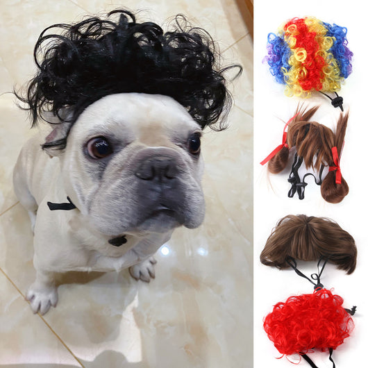 Peluca Disfraz para Mascotas - Halloween y Navidad - Image 10