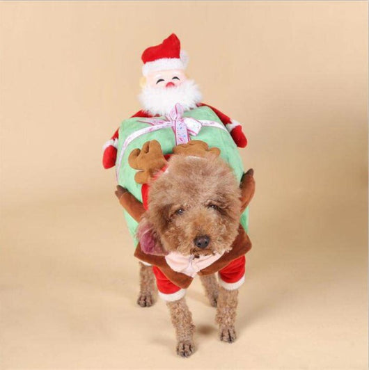 Disfraces y Ropa Temática para Perros Halloween - Image 7